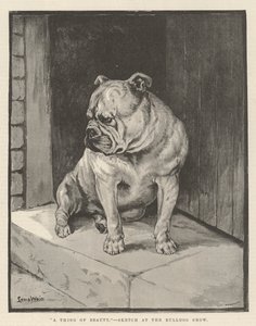Věc krásy od Louis Wain